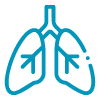 Sistema respiratorio